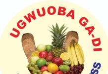 Ugwuoba Development Union Gets New Leadership, Hails Outgoing Executives