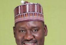 Amnesty International’s Impact On Security And Human Rights In Nigeria