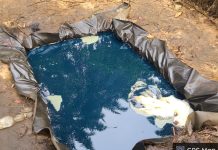 Seven crude oil thieves arrested, arms recovered as Navy raids nation’s waters