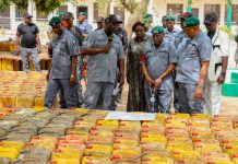 Again: Customs Hits Hard on PMS Smugglers in Adamawa